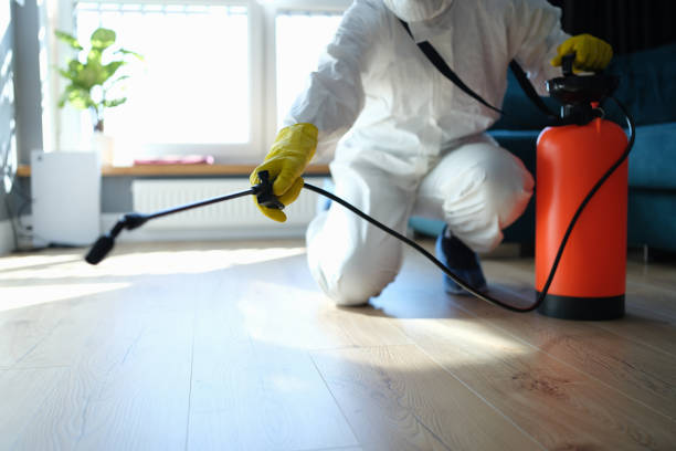 Flea Control Services in Waikoloa Village, HI